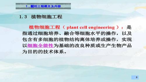林业生物技术课件2.细胞工程原理.ppt